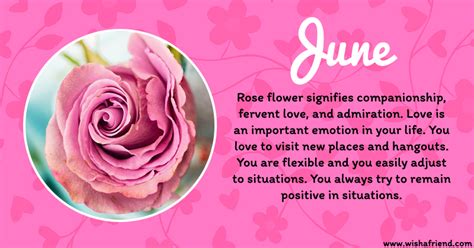 Your Birth Flower is June