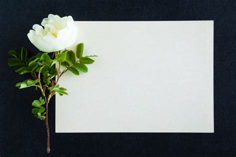 6 Funeral Invitation Wording Examples | Memorial Stationery