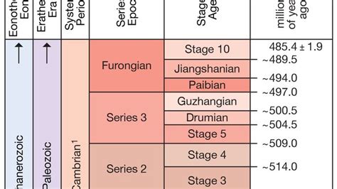 Cambrian Period - Cambrian rocks | Britannica