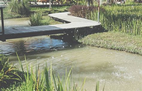 Wooden Bridge Across Pond In Garden Lake Bridge Pond Photo Background ...