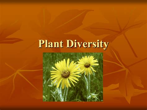 Plant Diversity