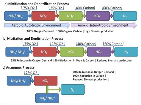 Biological nitrogen removal reactions: a) Conventional biological ...