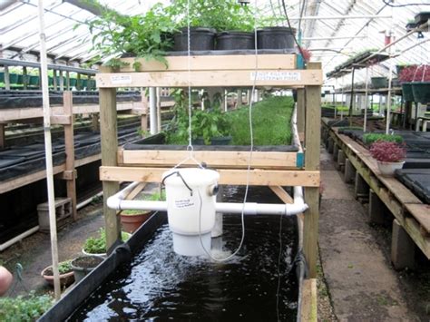 Aquaponics Water Heater - lordmoms