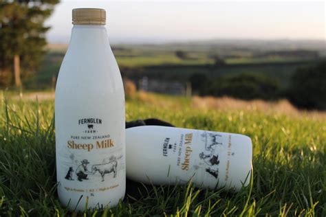 Artisan sheep's milk producer, Fernglen Farm, brings a new taste to New ...