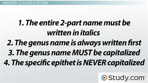 binomial nomenclature