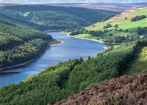 Derwent Reservoir Photograph by Tim Clark | Fine Art America