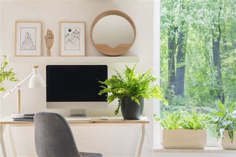 7 Easy-Care Office Plants for Your Desk at Work | Bargain Storage