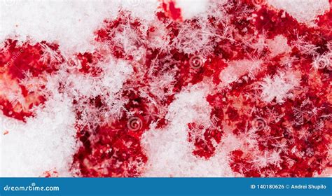 Red Blood on White Snow As a Background Stock Photo - Image of design ...