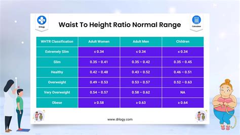 Waist To Height Ratio Calculator | WTHR Calculator - Drlogy