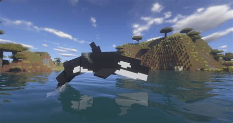 A Killer Whale Model I Made : r/Minecraft