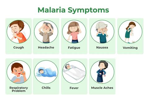 Malaria Symptoms