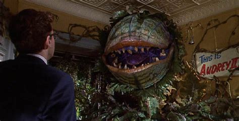 This is Audrey II - Little Shop of Horrors Photo (37597217) - Fanpop