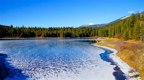 The Crystal-Clear Water, Flathead Lake in Montana | Most Beautiful