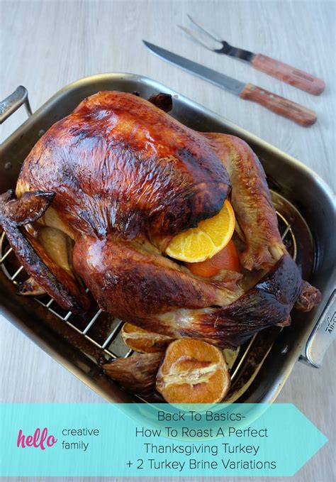 Back To Basics- How To Roast A Perfect Thanksgiving Turkey + 2 Turkey ...