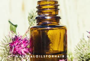 Reverse Hair Thinning with Burdock Root Oil | Natural Oils for Hair ...