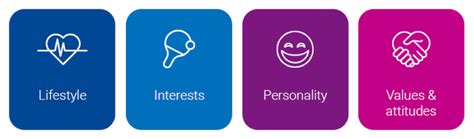 Psychographic Segmentation Overview | Experian Marketing Services