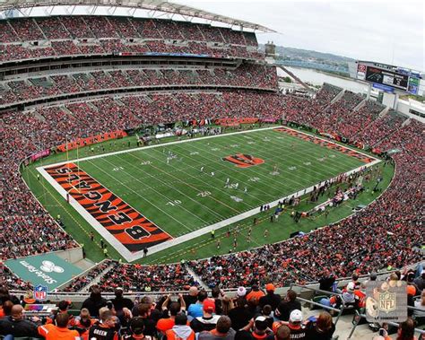 Cincinnati Bengals Stadium NFL Football Photo | Bengals Memorabilia ...