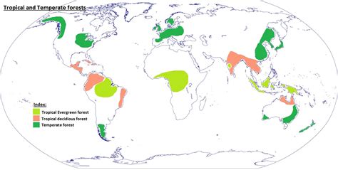 Evergreen Forest Map