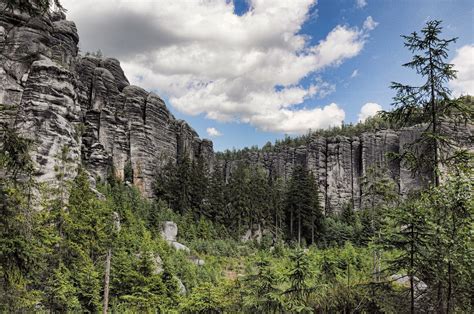 Nature of the Czech Republic: Places, Plants and Animals