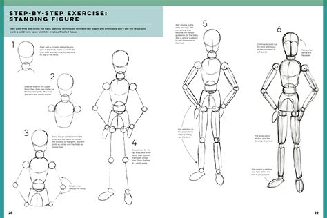 The Art of Figure Drawing for Beginners by Gecko Keck | Quarto At A ...