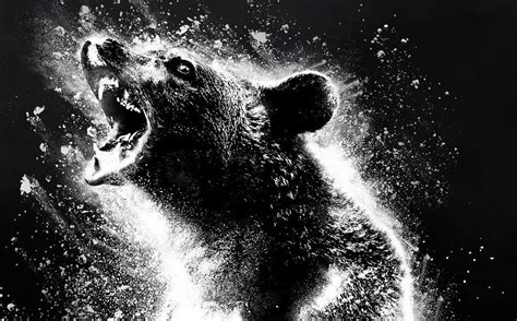 Universal Pictures Releases ‘Cocaine Bear’ Trailer