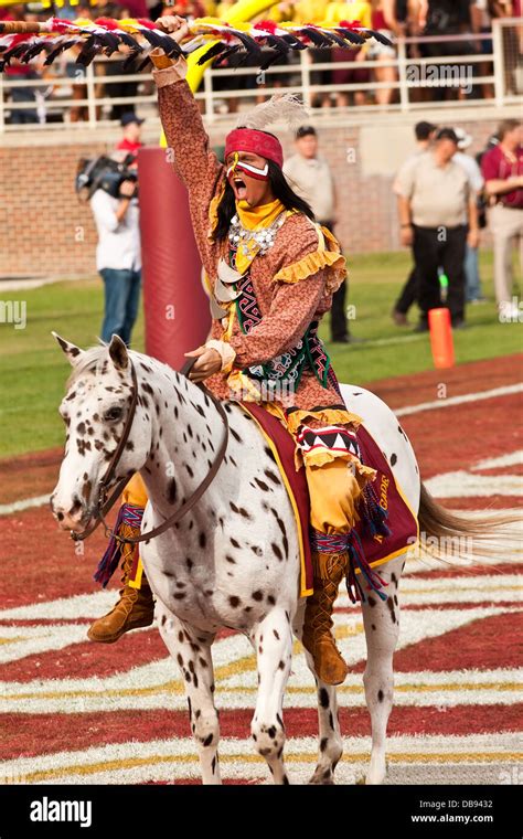 University Of Florida Mascot