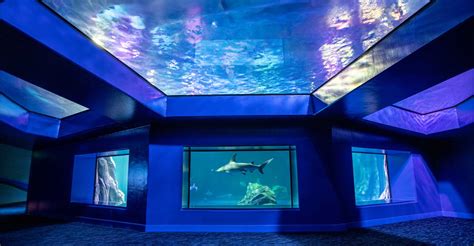 Georgia Aquarium Predator Exhibit | Uzun+Case