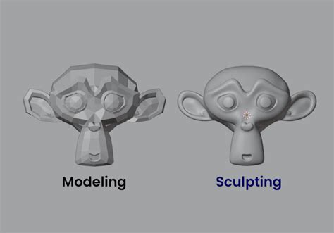 Modeling Vs Sculpting The Ultimate Comparison (2022)