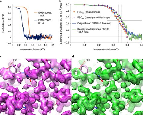 Density modification of an apoferritin 3.1-Å map and evaluation using ...