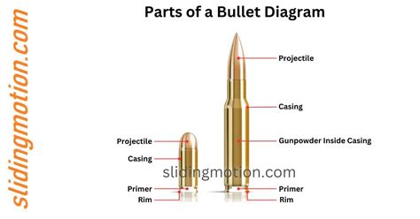 5 Parts of a Bullet: Exploring the anatomy with Names & Diagram