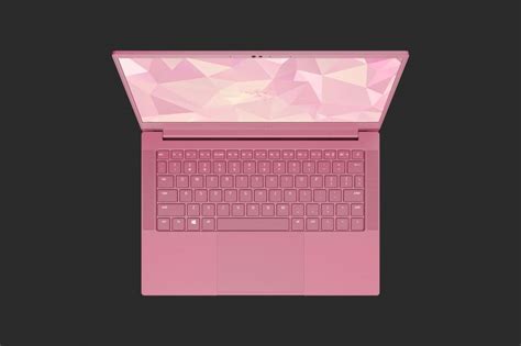 A Pink Razer Laptop - Take My Money