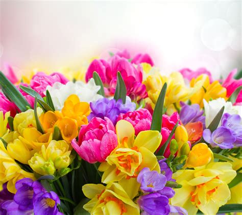 Bouquet Of Spring Flowers Wallpapers - Wallpaper Cave