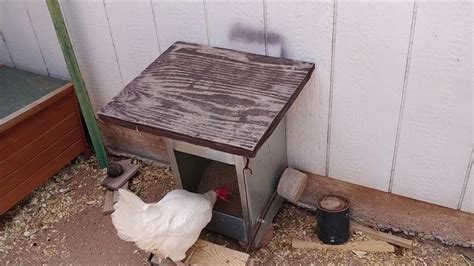 A Rat Proof Chicken Feeder in a Backyard in Arizona - YouTube