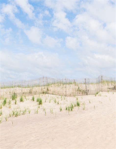 East Quogue Guide: Real Estate, Beaches, Restaurants | Out East