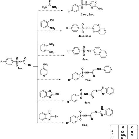 Scheme 1. Synthesis of several sulfonamide from... | Download ...