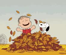 Autumn Leaves GIF - Autumn Leaves Maple Trees - Discover & Share GIFs