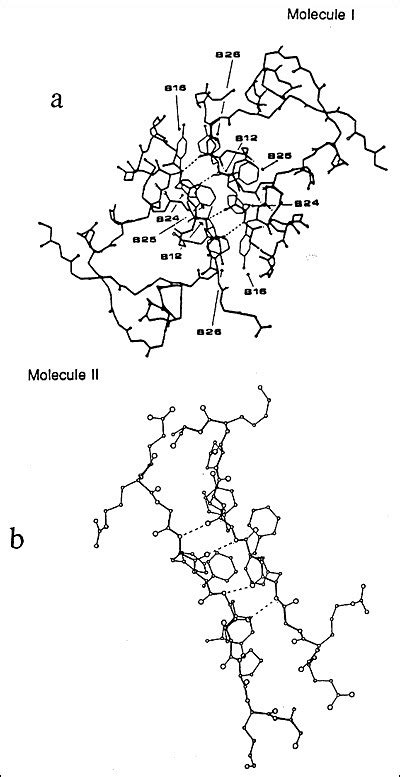 Insulin Biosynthesis, Secretion, Structure, and Structure-Activity ...