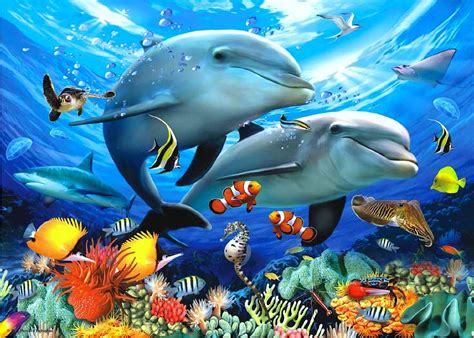 oceans-dreams-pre-underwater-animals-downloaded-attractions-dolphins ...