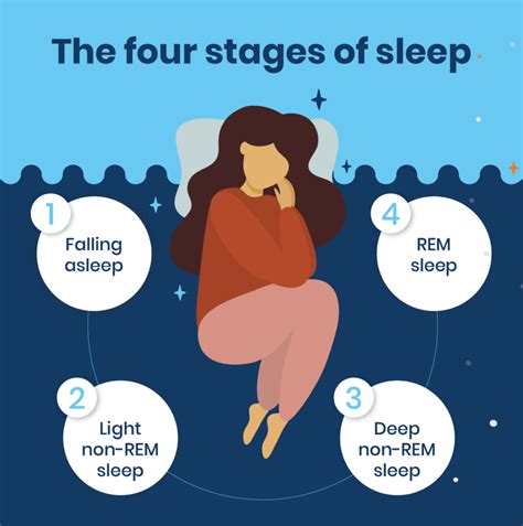 Sleep Stages [4 Types of Sleep Stages] | SleepScore