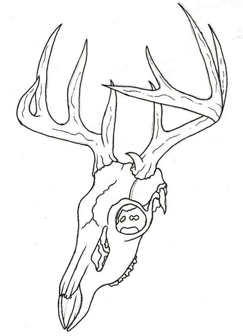 Deer Skull Coloring Pages | Deer skull drawing, Skulls drawing, Deer ...