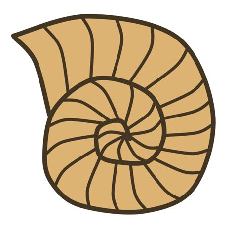 Snail Shell | Free SVG