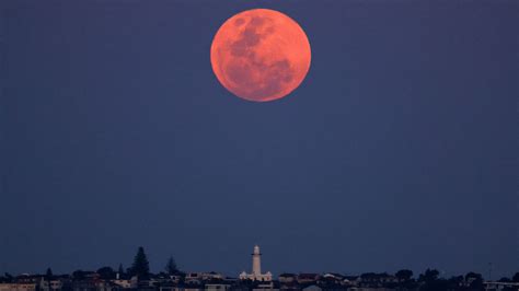 Last supermoon of 2023 rises tonight. Don't miss the Harvest Moon shine ...