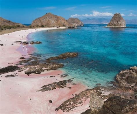 Complete Guide to the Pink Beaches of Indonesia - ETG Blog