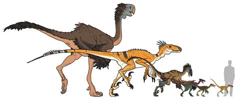 Dromaeosauridae Family by ~pietro-ant on deviantART | Dinosaurs ...