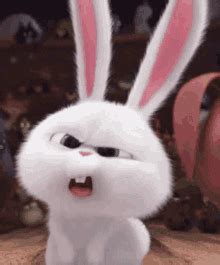 Funny Bunny Reminder Bunny GIF - Funny Bunny Reminder Bunny Great Job ...