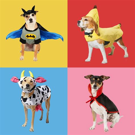 40 Best Dog Halloween Costumes | Dog Halloween Costume Ideas [2022]