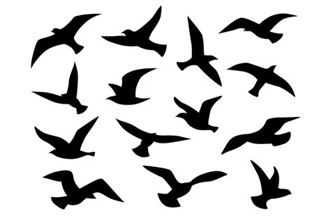 Bird silhouettes. Flying birds flock, black drawing flight r