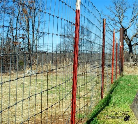 The Best Fencing for Goats in 2021 | Goat fence, Livestock fence, Goat pen