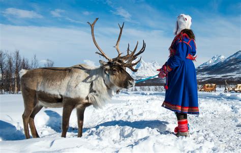 Sami Reindeer People Culture