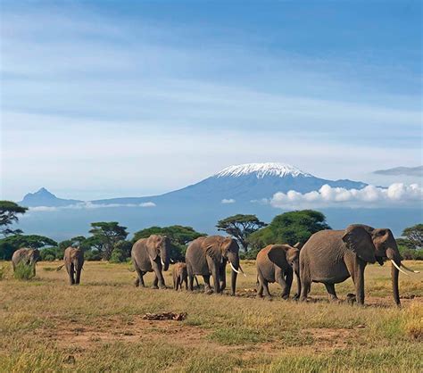 Tulia Amboseli Safari Camp | A camp with magical views